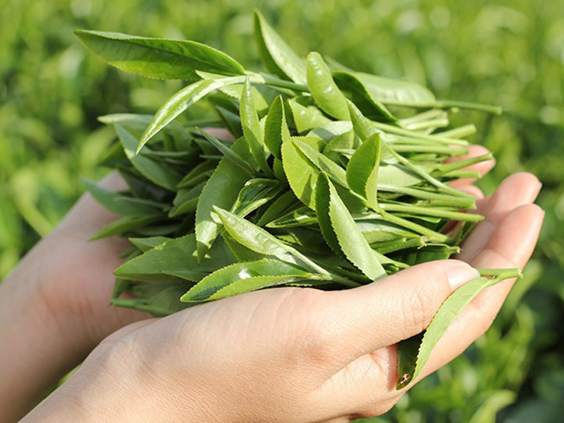 cach-che-bien-nuoc-tam-mua-he-cho-be-khong-benh-tat