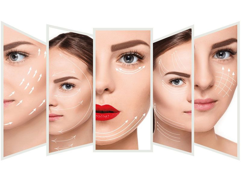 tre-hoa-lan-da-bang-chi-sinh-hoc